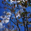 IMG_20211017_101332