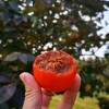 IMG_20211031_112819