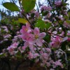 IMG_20210410_054923_1