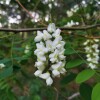 IMG_20210519_052509