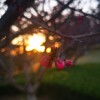 IMG_20210322_061132