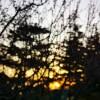 IMG_20210323_060449