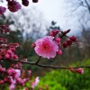 IMG_20210328_065042