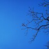 IMG_20211017_105044
