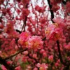 IMG_20210328_061711