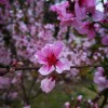 IMG_20210410_055221