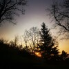 IMG_20210324_061524