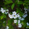IMG_20210410_061608