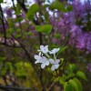 IMG_20210415_060257