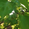 IMG_20210509_055549