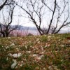 IMG_20210402_061646