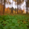 IMG_20211107_105800
