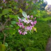 IMG_20210418_162320