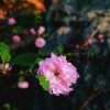 IMG_PITU_20210415_114823