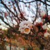 IMG_20210322_061357_1