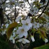 IMG_20210410_062530