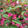 IMG_20210422_055642