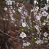 IMG_20210410_064253