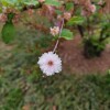 IMG_20210422_060511