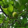 IMG_20210506_054538