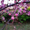 IMG_20210408_063246