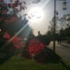 IMG_20210509_061353