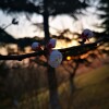 IMG_20210325_060058