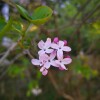 IMG_20210418_162610