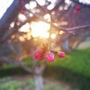 IMG_20210322_061206
