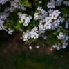 IMG_20210410_061545