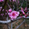 IMG_20210410_055432