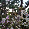 IMG_20210408_061543