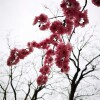IMG_20210402_060216