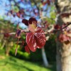 IMG_20210509_061507