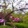 IMG_20210422_055450