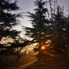 IMG_20210325_060619