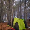 IMG_20211107_062816
