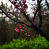 IMG_20210328_064706