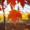 IMG_20211106_145654