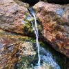 IMG_20211107_130803
