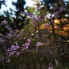 IMG_20210408_061553