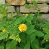 IMG_20210509_061118