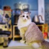IMG_PITU_20211020_194240