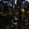 IMG_20210414_062614