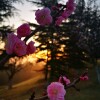 IMG_20210325_060510