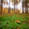 IMG_20211107_105524
