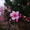 IMG_20210410_055351