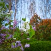 IMG_20210415_060310