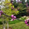 IMG_20210422_055546