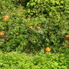IMG_20211017_115216